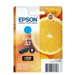 Epson Tinte T33424012 Cyan